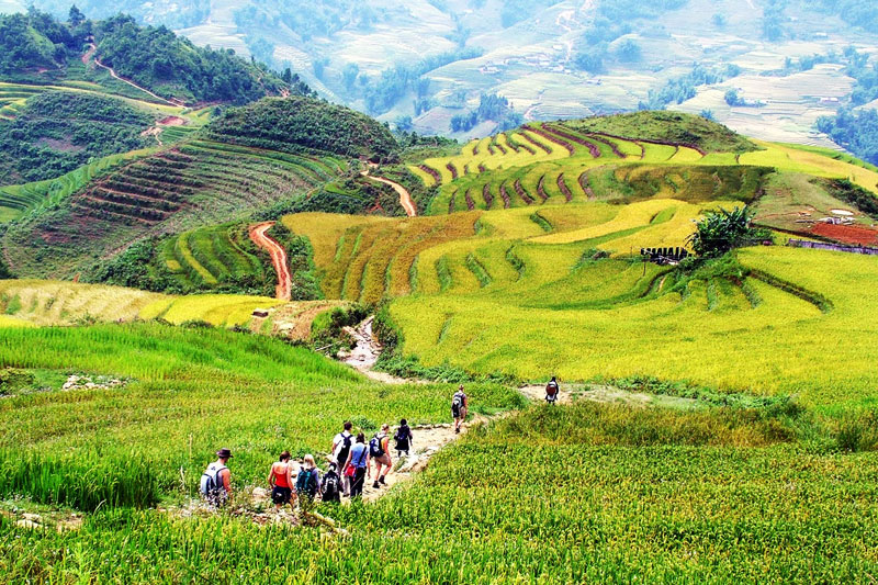 Sapa - 2 Days - 3 Nights (Authentic Sapa experience)