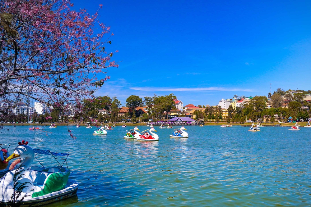 Dalat – 1 Day Countryside Tour