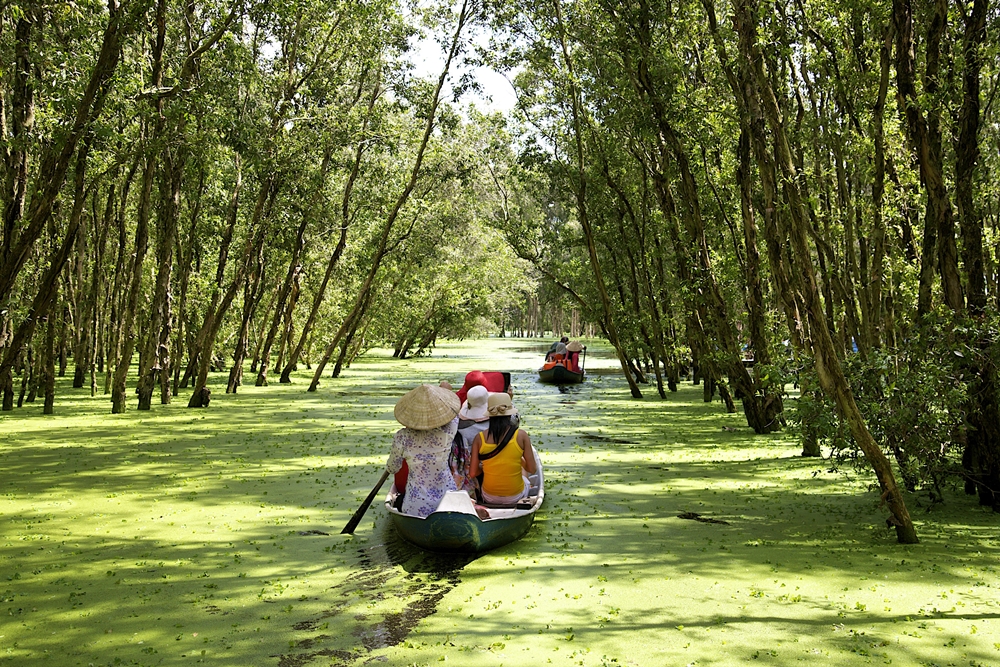 Mekong Delta